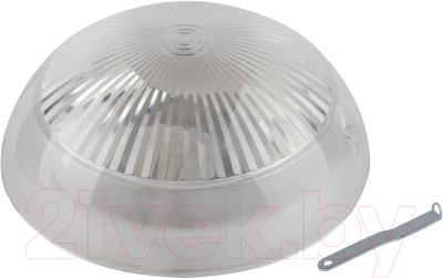 Светильник ЖКХ ЭРА Сириус НБП 06-60-011 / Б0048409 - фото