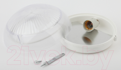 Светильник ЖКХ ЭРА Сириус НБП 06-60-011 / Б0048409