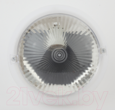 Светильник ЖКХ ЭРА Сириус НБП 06-60-011 / Б0048409