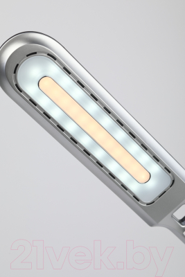 Настольная лампа ЭРА NLED-496-12W-BK / Б0052767