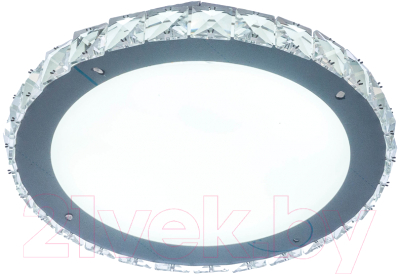 Потолочный светильник Aitin-Pro X181-300 - фото