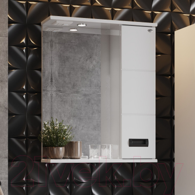 Шкаф с зеркалом для ванной Onika Балтика 58.01 (205846)