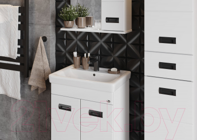 Шкаф с зеркалом для ванной Onika Балтика 58.01 (205846)