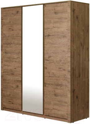 Шкаф Рэйгрупп Bromo 01.02 ДЗД 166x198x55 / ШР 01.02 VL (дуб веллингтон) - фото