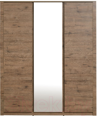 Шкаф Рэйгрупп Bromo 01.02 ДЗД 166x198x55 / ШР 01.02 VL (дуб веллингтон)
