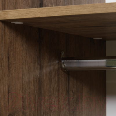 Шкаф Рэйгрупп Bromo 01.02 ДЗД 166x198x55 / ШР 01.02 VL (дуб веллингтон)