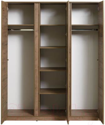 Шкаф Рэйгрупп Bromo 01.02 ДЗД 166x198x55 / ШР 01.02 VL (дуб веллингтон)