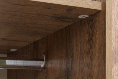 Шкаф Рэйгрупп Bromo 01.02 ДЗД 166x198x55 / ШР 01.02 VL (дуб веллингтон)