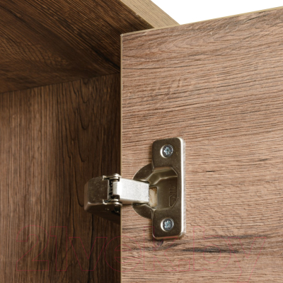 Шкаф Рэйгрупп Bromo 01.02 ДЗД 166x198x55 / ШР 01.02 VL (дуб веллингтон)