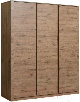 Шкаф Рэйгрупп Bromo 01.03 ДДД 166x198x55 / ШР 01.03 VL (дуб веллингтон) - фото
