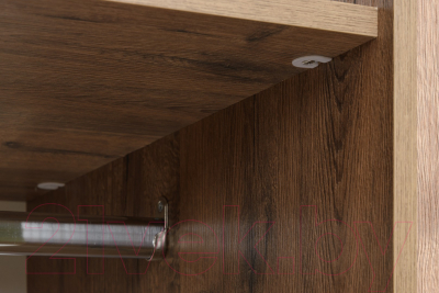 Шкаф Рэйгрупп Bromo 01.03 ДДД 166x198x55 / ШР 01.03 VL (дуб веллингтон)