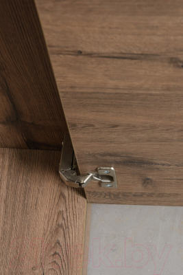 Шкаф Рэйгрупп Bromo 01.03 ДДД 166x198x55 / ШР 01.03 VL (дуб веллингтон)