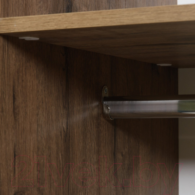 Шкаф Рэйгрупп Bromo 01.03 ДДД 166x198x55 / ШР 01.03 VL (дуб веллингтон)