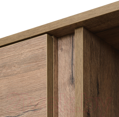 Шкаф Рэйгрупп Bromo 01.03 ДДД 166x198x55 / ШР 01.03 VL (дуб веллингтон)