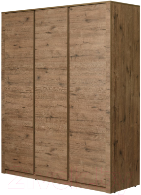 Шкаф Рэйгрупп Bromo 01.03 ДДД 166x198x55 / ШР 01.03 VL (дуб веллингтон)