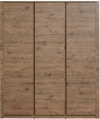 Шкаф Рэйгрупп Bromo 01.03 ДДД 166x198x55 / ШР 01.03 VL (дуб веллингтон)