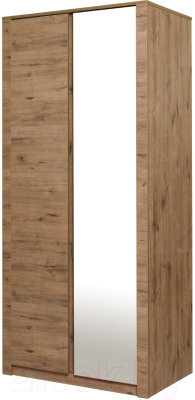 Шкаф Рэйгрупп Bromo 02.02 ДЗ 90x198x55 / ШР 02.02 VL (дуб веллингтон) - фото