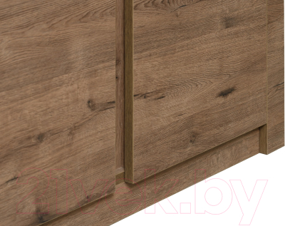 Шкаф Рэйгрупп Bromo 02.02 ДЗ 90x198x55 / ШР 02.02 VL (дуб веллингтон)
