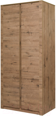 Шкаф Рэйгрупп Bromo 02.03 ДД 90x198x55 / ШР 02.03 VL (дуб веллингтон) - фото