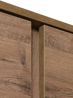 Шкаф Рэйгрупп Bromo 02.03 ДД 90x198x55 / ШР 02.03 VL (дуб веллингтон)