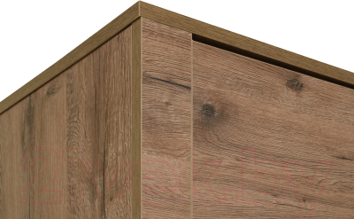 Шкаф Рэйгрупп Bromo 02.03 ДД 90x198x55 / ШР 02.03 VL (дуб веллингтон)