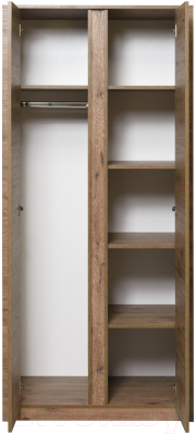 Шкаф Рэйгрупп Bromo 02.03 ДД 90x198x55 / ШР 02.03 VL (дуб веллингтон)