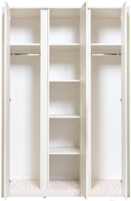 Шкаф Рэйгрупп Bromo 01.02 ДЗД 166x198x55 / ШР 01.02 BR (дуб бордолайт)