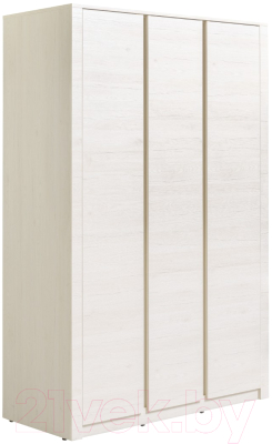 Шкаф Рэйгрупп Bromo 01.03 ДДД 166x198x55 / ШР 01.03 BR (дуб бордолайт) - фото