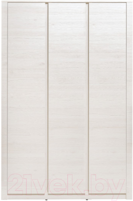 Шкаф Рэйгрупп Bromo 01.03 ДДД 166x198x55 / ШР 01.03 BR (дуб бордолайт)