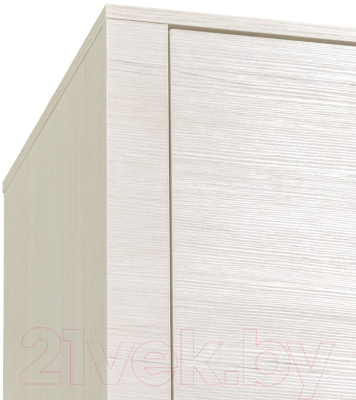 Шкаф Рэйгрупп Bromo 01.03 ДДД 166x198x55 / ШР 01.03 BR (дуб бордолайт)