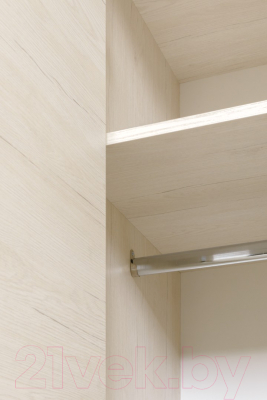 Шкаф Рэйгрупп Bromo 01.03 ДДД 166x198x55 / ШР 01.03 BR (дуб бордолайт)