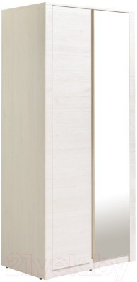 Шкаф Рэйгрупп Bromo 02.02 ДЗ 90x198x55 / ШР 02.02 BR (дуб бордолайт) - фото