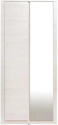 Шкаф Рэйгрупп Bromo 02.02 ДЗ 90x198x55 / ШР 02.02 BR (дуб бордолайт)