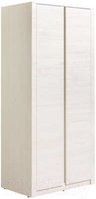 Шкаф Рэйгрупп Bromo 02.03 ДД 90x198x55 / ШР 02.03 BR (дуб бордолайт) - фото