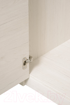 Шкаф Рэйгрупп Bromo 02.03 ДД 90x198x55 / ШР 02.03 BR (дуб бордолайт)