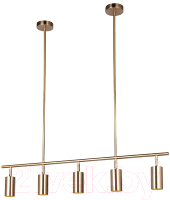 Потолочный светильник Moderli Section / V4062-5P - фото