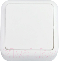 Выключатель Bylectrica А14-116 / 2.112653 - фото