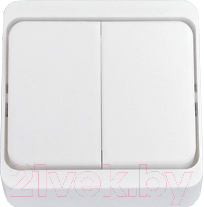 Выключатель Bylectrica А54-001 / 2.112736 - фото