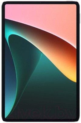 Планшет Xiaomi Pad 5 6GB/256GB RU / 21051182G