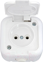 Розетка Bylectrica РА16-236 / 2.116970 - фото