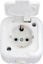 Розетка Bylectrica РА16-214 / 2.116929 - фото