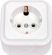Розетка Bylectrica Пралеска РА16-254 / 2.120797 - фото