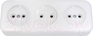 Розетка Bylectrica РА16-244 / 2.120803 - фото