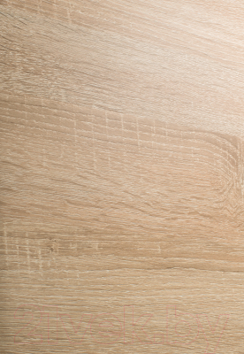 Шкаф-купе Евва 170 SB.2 / ПР-4D2Z3S (дуб сонома/белый)