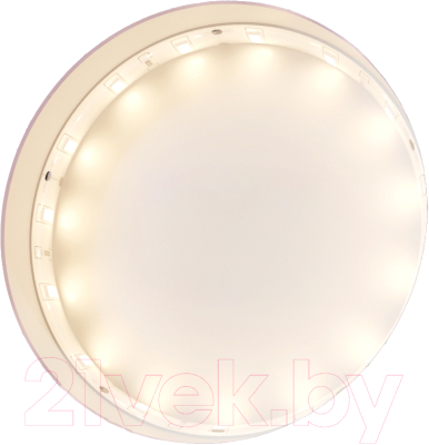 Светодиодная лента Maytoni Led Strip 12В / 10105 - фото