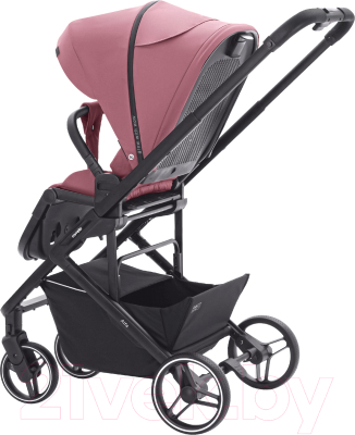 Детская прогулочная коляска Carrello Alfa / CRL-5508