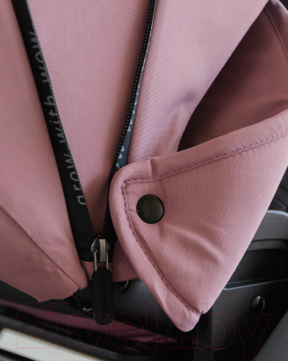 Детская прогулочная коляска Carrello Alfa / CRL-5508