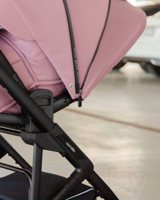 Детская прогулочная коляска Carrello Alfa / CRL-5508