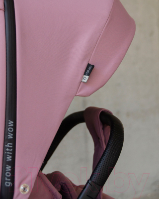 Детская прогулочная коляска Carrello Alfa / CRL-5508