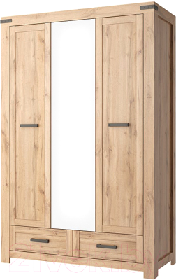 Шкаф Anrex Mortiz 3DG2S Z (дуб вотан) - фото
